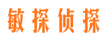 盘龙外遇调查取证